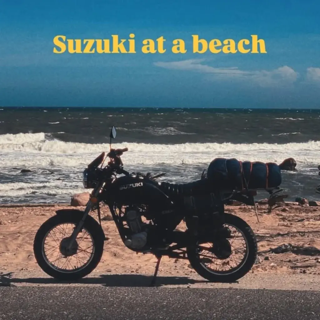 Suzuki at the beach.webp