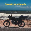 Suzuki at the beach.webp